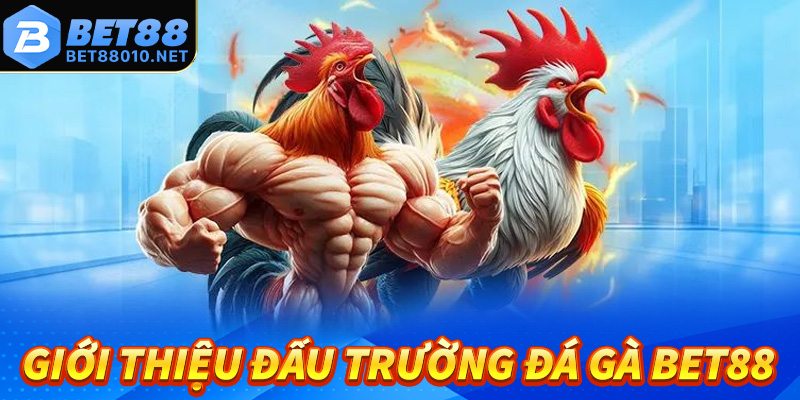 Giới thiệu chung về đấu trường cá cược đá gà Bet88