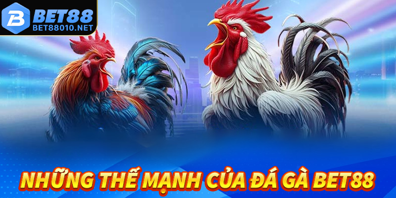 Những thế mạnh cùng tính năng độc quyền tại sảnh đá gà Bet88